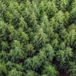 Mindfulness a Parma: respirare, sentire, ritrovarsi